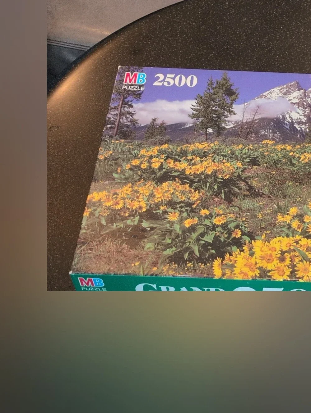 VTG Milton Bradl500 Piece Puzzle Mountain Wildflower Wall Art - Yellow New Inbox
